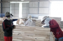 Ngành gỗ hưởng lợi khi nhập nguyên liệu từ EU