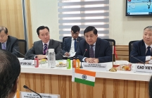 Ấn Độ kiến nghị thành lập nhóm làm việc chung về đầu tư với Việt Nam