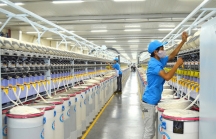 Tập đoàn sợi hàng đầu thế giới mở rộng đầu tư tại Việt Nam, dự kiến tăng thêm 500 triệu USD trong năm 2020