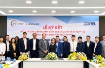 VinaCapital 'bắt tay' Saigontel phát triển chuỗi dự án điện mặt trời áp mái 50 MW