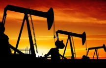 Giá dầu thô tiếp tục giảm xuống dưới mức 30 USD