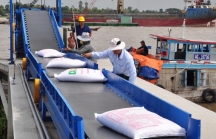 Bộ trưởng Công Thương Trần Tuấn Anh đề xuất tạm dừng xuất khẩu gạo rồi lại xin Thủ tướng rút
