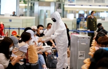 Sân bay Nội Bài dừng đón người Việt Nam về nước