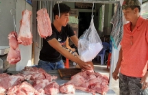 Dự kiến sẽ điều chỉnh giảm giá lợn hơi xuống mức 70.000 đồng/kg