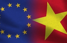 Hội đồng châu Âu thông qua quyết định phê chuẩn Hiệp định EVFTA