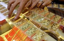 Doji, Bảo Tín Minh Châu tạm dừng hoạt động tất cả các trung tâm giao dịch vàng vì dịch COVID-19