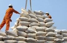 Bộ Công Thương đề nghị cho xuất khẩu 400.000 tấn gạo trong tháng 4