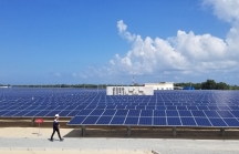 Công ty năng lượng Thái Lan có thể đầu tư tới 457 triệu USD vào 4 dự án điện mặt trời tại Bình Phước