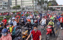 Công ty nhiều lao động nhất Sài Gòn ngừng hoạt động