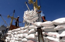 Thủ tướng đồng ý cho xuất khẩu gạo trở lại ngay trong tháng 4