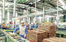 Các doanh nghiệp ngành gỗ 'mất' hơn 3.000 tỷ đồng vì dịch COVID-19