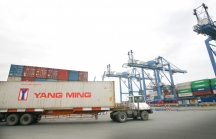 Tân Cảng Sài Gòn miễn, giảm phí hỗ trợ doanh nghiệp xuất khẩu gạo bị nghẽn