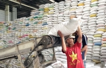 Bộ Công Thương hỏa tốc đề nghị Bộ Tài chính công khai danh sách thương nhân đã đăng ký xuất khẩu gạo