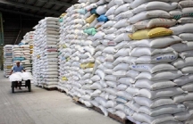 Sẽ đấu thầu đủ 190 nghìn tấn gạo dự trữ quốc gia trước tháng 7/2020