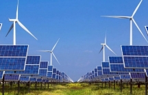 Bình Định đề nghị bổ sung dự án Nhà máy điện gió Phù Mỹ vào quy hoạch phát triển điện lực