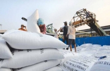 Tổng cục Hải quan hỏa tốc yêu cầu các tỉnh không sách nhiễu doanh nghiệp xuất khẩu gạo