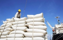 Bộ trưởng Tài chính đề nghị Bộ trưởng Công an chỉ đạo điều tra vụ mở tờ khai xuất khẩu gạo nửa đêm