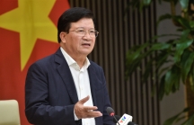 Phó Thủ tướng Trịnh Đình Dũng: Yêu cầu rà soát quy trình, thủ tục mở tờ khai xuất khẩu gạo