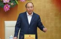 Thủ tướng: Bộ GTVT xử lý dứt điểm vướng mắc đường sắt Cát Linh - Hà Đông trước tháng 6/2020