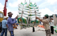 Vụ xuất khẩu gạo: Bộ Tài chính góp ý gì mà Bộ Công thương 'không tiếp thu'?