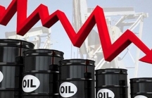 Bộ Công Thương: Giá dầu giảm sâu, có thể tạm ngừng khoan các giếng dầu có sản lượng thấp