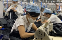 ILO: Khoảng 10 triệu lao động Việt Nam bị mất việc, giảm giờ làm do ảnh hưởng của dịch bệnh COVID-19