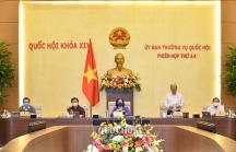 Chủ tịch Quốc hội Nguyễn Thị Kim Ngân: Nhiều dự án tốn bạc tỉ vì vướng thủ tục