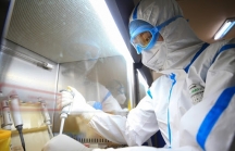 Việt Nam bước đầu tiêm thử nghiệm vắc xin phòng COVID-19 trên chuột