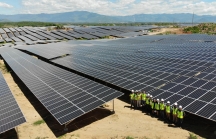 Xin dự án điện mặt trời rồi... bán cho Trung Quốc