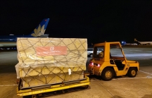 Bee Logistics tiên phong thuê chuyến trọn gói xuất hàng từ Hà Nội đi châu Âu