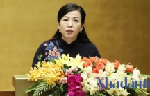 Sắp miễn nhiệm Trưởng Ban Dân nguyện Nguyễn Thanh Hải