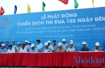 Tổng giám đốc Trung Nam Group: 'Sống, chết với dự án nhà máy điện mặt trời Trung Nam - Thuận Nam’