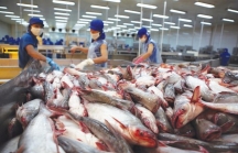 VASEP hiến kế phát triển ngành thủy sản Việt Nam hậu COVID-19