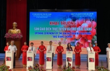Bộ Công Thương hỗ trợ xúc tiến tiêu thụ vải thiều Bắc Giang tại thị trường trong nước và quốc tế