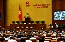 ILO hoan nghênh Việt Nam phê chuẩn Công ước về xóa bỏ lao động cưỡng bức