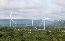 WB cam kết cung cấp khoảng vay 84,4 triệu USD khuyến khích Việt Nam phát triển điện gió