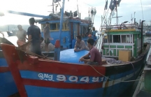 Hội Nghề cá phản đối Hải cảnh Trung Quốc đâm tàu ngư dân Việt Nam