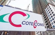 14 cổ đông ngăn Coteccons tổ chức đại hội trực tuyến