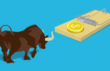 Chứng khoán tăng điểm: Cơ hội đầu tư hay chỉ là 'bull-trap'?