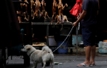 Trung Quốc mở cửa lễ hội thịt chó, bất chấp dịch COVID-19