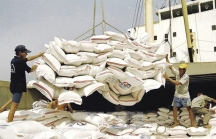 Xuất khẩu gạo bị hẫng sau thời gian 'sục sôi'