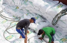 Gạo Việt có xuất được 80.000 tấn vào EU?
