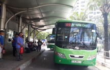 10 đơn vị vận tải xe buýt TP.HCM 'dọa' ngưng hoạt động từ 15/8 vì nợ nần