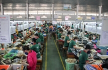 Chưa doanh nghiệp Đà Nẵng nào tiếp cận được gói hỗ trợ 16.000 tỷ đồng