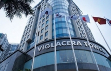 Viglacera chấp thuận đề nghị chào mua công khai của Gelex