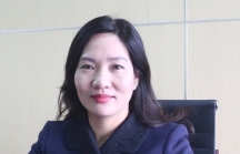 Chân dung nữ Phó Chủ tịch UBND tỉnh Quảng Ninh