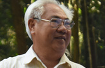 Cảnh cáo nguyên giám đốc khu bảo tồn Đồng Nai, bắt trồng lại rừng