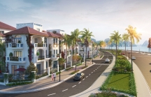 Khám phá sắc xanh tại Mallorca - Sun Grand City Feria