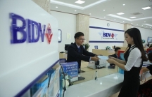 BIDV rao bán khoản nợ 240 tỷ của Công ty Nam Sơn