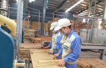EVFTA, cơ hội mới cho doanh nghiệp gỗ Bình Định